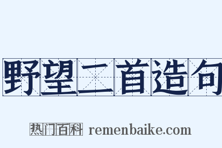 野望二首造句是什么意思的图片